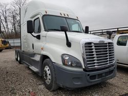 Salvage trucks for sale at Lexington, KY auction: 2017 Freightliner Cascadia 125