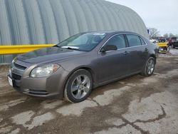 Chevrolet Malibu salvage cars for sale: 2010 Chevrolet Malibu 2LT