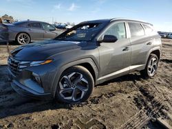 Hyundai Tucson SEL salvage cars for sale: 2024 Hyundai Tucson SEL