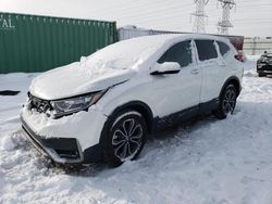 2020 Honda CR-V EX for sale in Elgin, IL