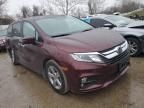 2020 Honda Odyssey EXL