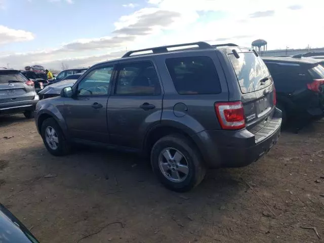 2011 Ford Escape XLT