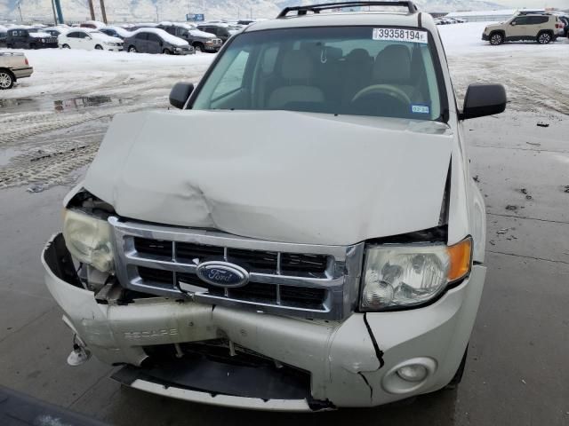 2008 Ford Escape XLT