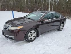 Salvage cars for sale from Copart Bowmanville, ON: 2009 Acura TL