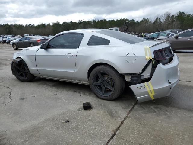 2013 Ford Mustang GT