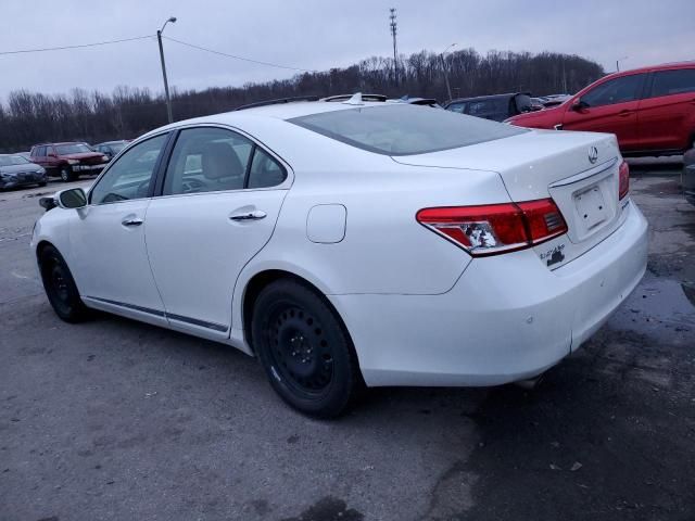 2010 Lexus ES 350