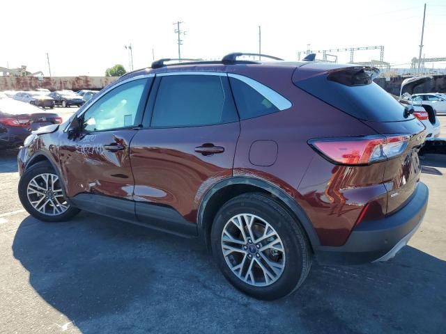 2021 Ford Escape SEL