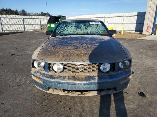 2005 Ford Mustang GT