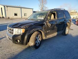 Ford Escape Hybrid salvage cars for sale: 2009 Ford Escape Hybrid