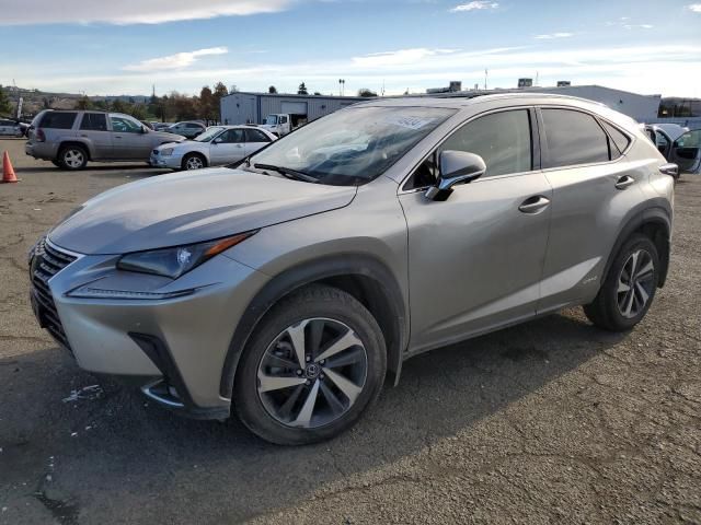 2020 Lexus NX 300H