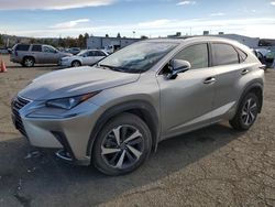 Lexus NX salvage cars for sale: 2020 Lexus NX 300H