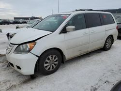 Honda salvage cars for sale: 2009 Honda Odyssey EXL