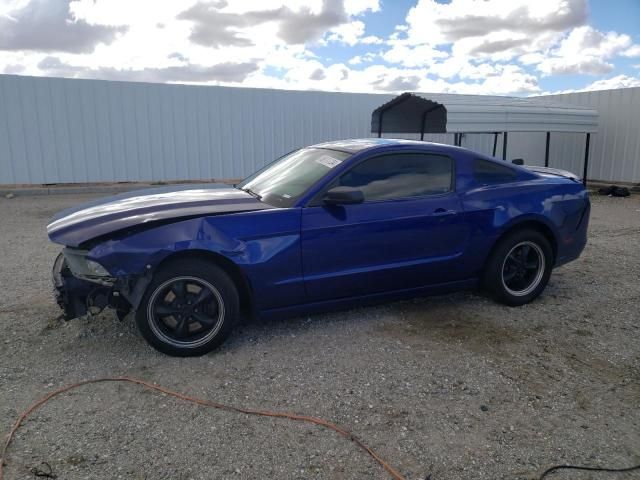 2013 Ford Mustang