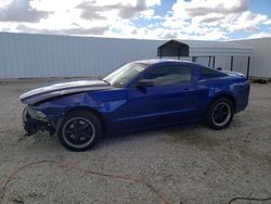 Ford Mustang salvage cars for sale: 2013 Ford Mustang