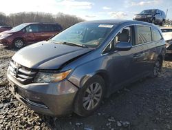 Salvage cars for sale at Windsor, NJ auction: 2014 Honda Odyssey EXL