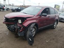 Salvage cars for sale at Chicago Heights, IL auction: 2010 Honda CR-V EX