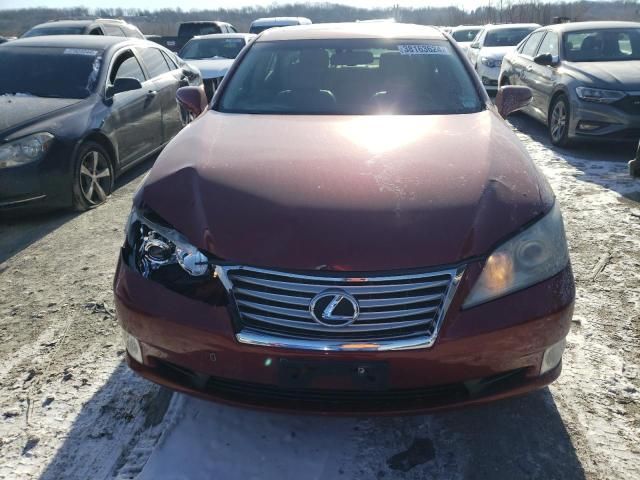 2010 Lexus ES 350