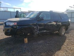 Salvage cars for sale from Copart Kapolei, HI: 2021 Toyota 4runner SR5