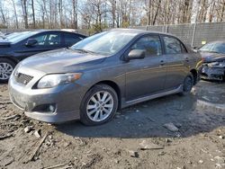 Salvage cars for sale at Waldorf, MD auction: 2010 Toyota Corolla Base