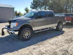 Salvage cars for sale from Copart Midway, FL: 2013 Ford F150 Supercrew