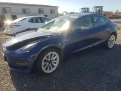 Salvage cars for sale at Kapolei, HI auction: 2022 Tesla Model 3