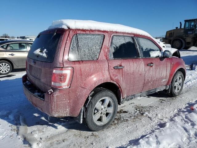 2008 Ford Escape XLT