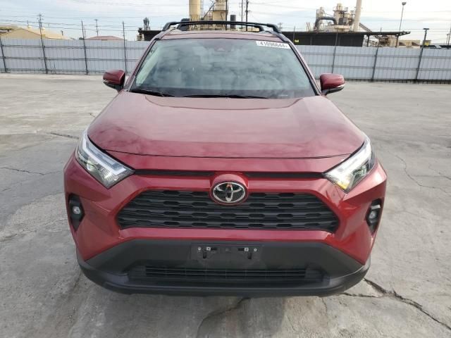 2023 Toyota Rav4 XLE Premium