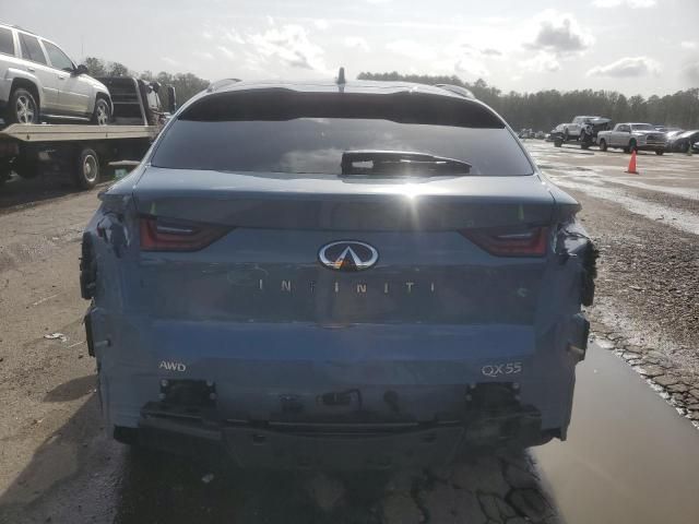 2023 Infiniti QX55 Luxe