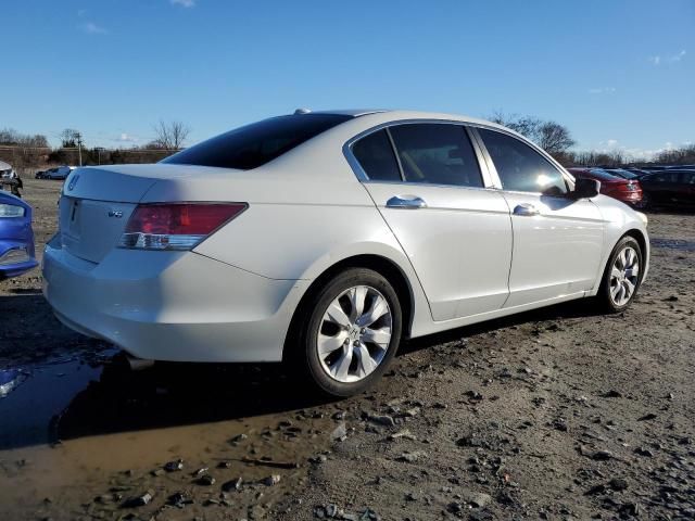 2010 Honda Accord EXL