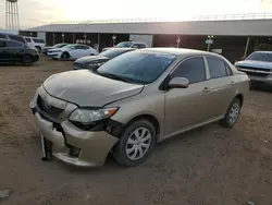 Salvage cars for sale at Phoenix, AZ auction: 2010 Toyota Corolla Base