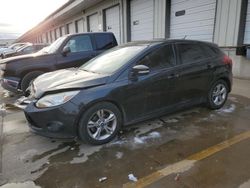 Salvage cars for sale at Lawrenceburg, KY auction: 2013 Ford Focus SE