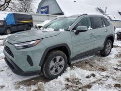 Toyota Rav4 salvage cars for sale: 2023 Toyota Rav4 XLE