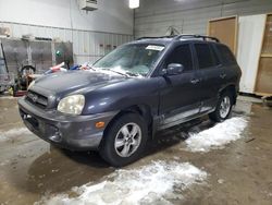 Salvage cars for sale at Des Moines, IA auction: 2005 Hyundai Santa FE GLS