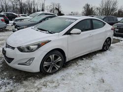 Salvage cars for sale at Baltimore, MD auction: 2015 Hyundai Elantra SE