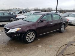 Salvage cars for sale at Louisville, KY auction: 2011 Toyota Avalon Base