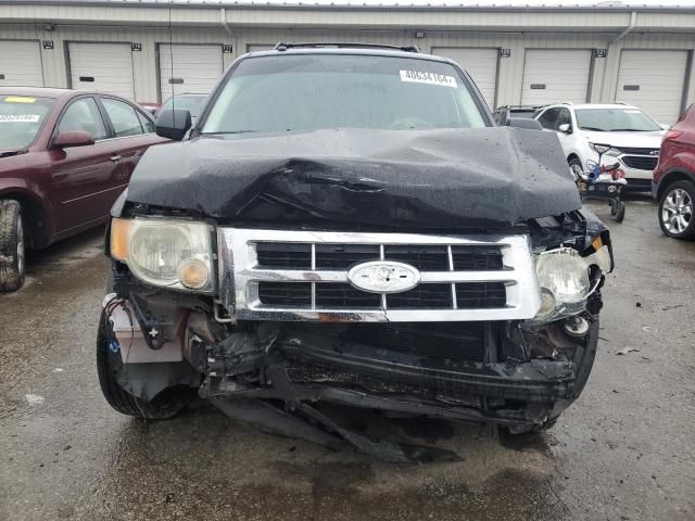 2008 Ford Escape XLT