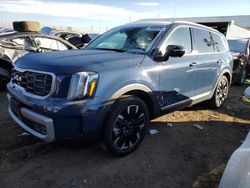 Salvage cars for sale at Brighton, CO auction: 2023 KIA Telluride SX