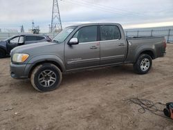 Salvage cars for sale from Copart Adelanto, CA: 2006 Toyota Tundra Double Cab SR5