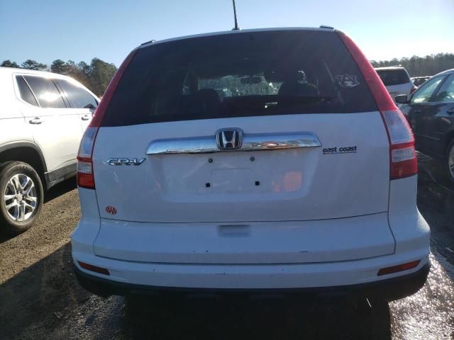 2010 Honda CR-V EXL