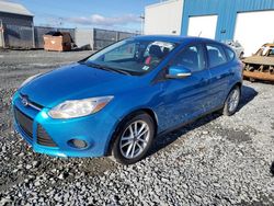 Ford Focus salvage cars for sale: 2013 Ford Focus SE