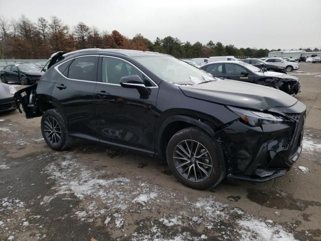 2024 Lexus NX 350 Premium