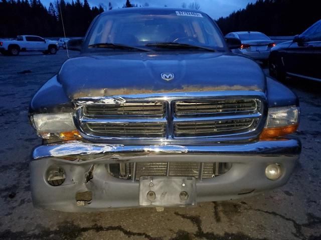 2004 Dodge Dakota Quad SLT