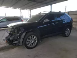 Salvage cars for sale at Anthony, TX auction: 2020 Toyota Rav4 Limited