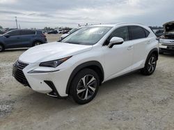 Salvage cars for sale at Arcadia, FL auction: 2020 Lexus NX 300H