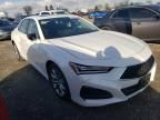 2023 Acura TLX