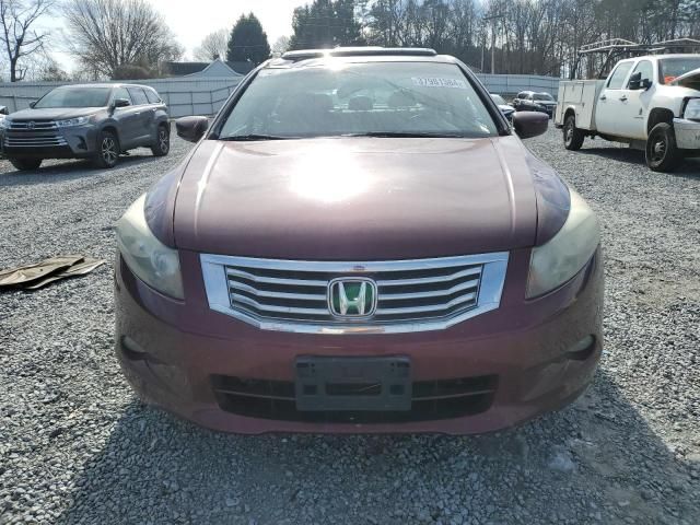 2009 Honda Accord EXL