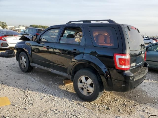 2010 Ford Escape XLS