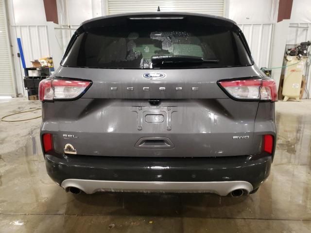 2021 Ford Escape SEL