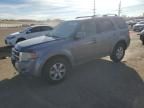 2008 Ford Escape Limited