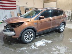 Salvage Cars with No Bids Yet For Sale at auction: 2017 Ford Escape SE